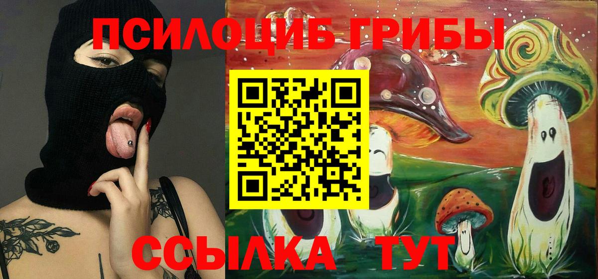 Псилоцибиновые грибы GOLDEN TEACHER  Мценск  Галлюциногенные грибы ЛСД 